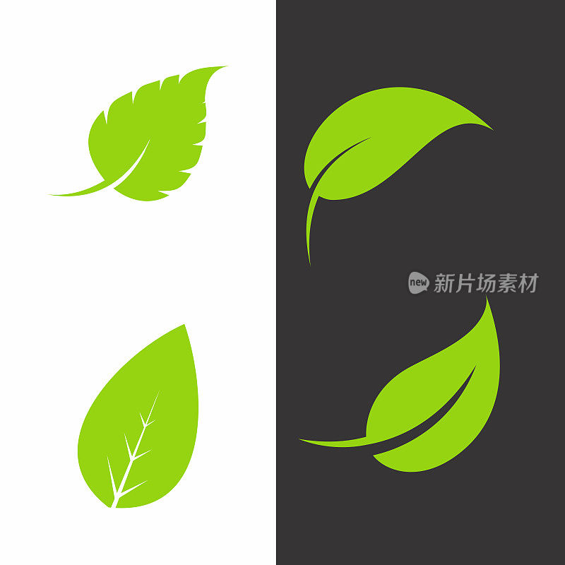 Leaf icon vector . Various shapes of green leaves.Elements for eco and bio logos.
